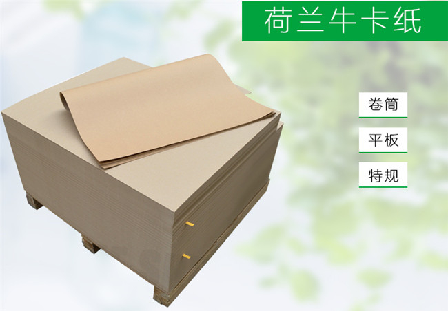 002荷蘭?？?jpg